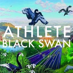 Black Swan artwork