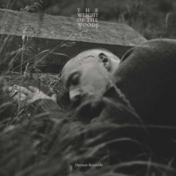 The Weight of the Woods (Extended Edition) artwork